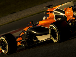 McLaren deny Alonso Le Mans entry suggestion