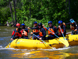 Ricciardo and Verstappen go rafting