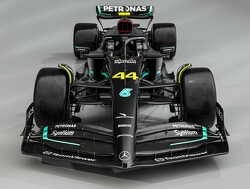 Hamilton fan van zwarte livery: "Hebben dit probleem serieus genomen"