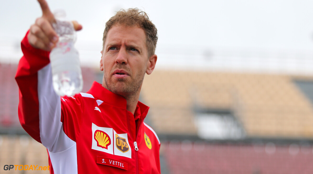 Sebastian Vettel: "Spiegels aan halo maken zicht beter en halo er mooier op"