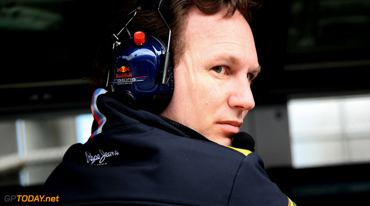 Horner: "Opleiding Red Bull verdient meer waardering"