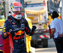 Palmer zag Verstappen 'beste sector ooit' rijden
